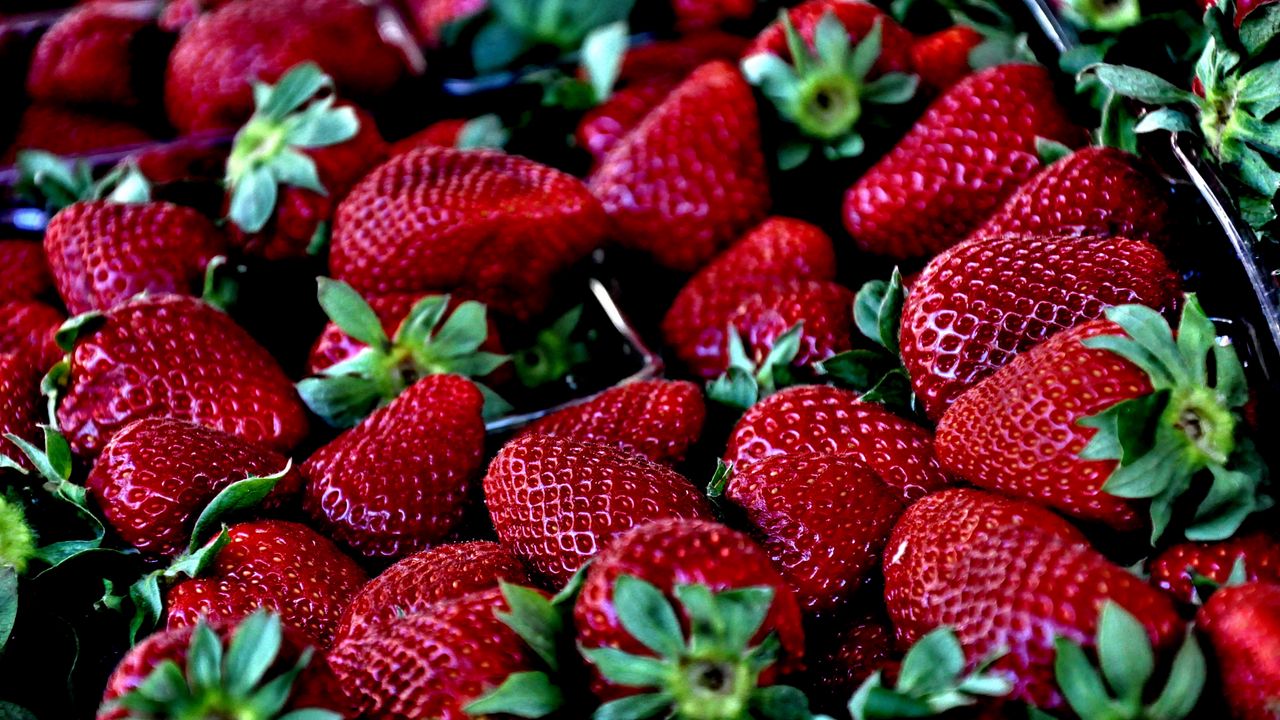 Wallpaper strawberries, berries, ripe