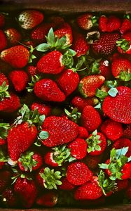 Preview wallpaper strawberries, berries, ripe, juicy