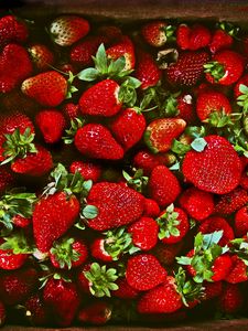 Preview wallpaper strawberries, berries, ripe, juicy