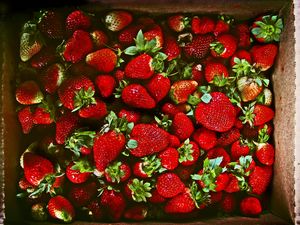 Preview wallpaper strawberries, berries, ripe, juicy