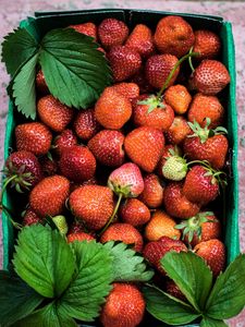 Preview wallpaper strawberries, berries, ripe, summer