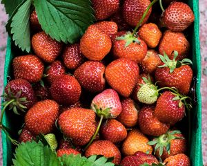 Preview wallpaper strawberries, berries, ripe, summer