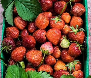 Preview wallpaper strawberries, berries, ripe, summer