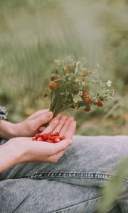 Preview wallpaper strawberries, berries, ripe, bouquet, hands