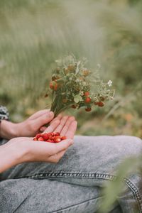 Preview wallpaper strawberries, berries, ripe, bouquet, hands