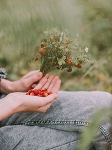 Preview wallpaper strawberries, berries, ripe, bouquet, hands