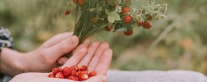 Preview wallpaper strawberries, berries, ripe, bouquet, hands
