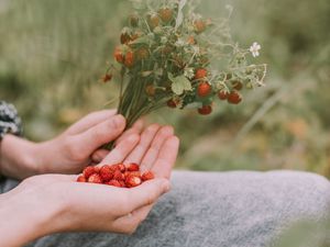 Preview wallpaper strawberries, berries, ripe, bouquet, hands