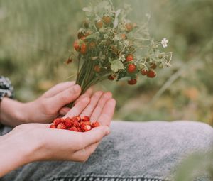 Preview wallpaper strawberries, berries, ripe, bouquet, hands