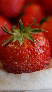 Preview wallpaper strawberries, berries, sweet, sugar