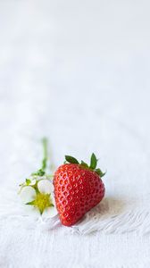 Preview wallpaper strawberries, berry, flowers, cloth
