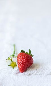 Preview wallpaper strawberries, berry, flowers, cloth