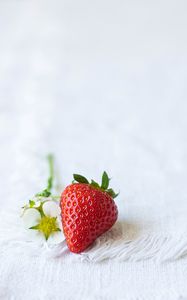 Preview wallpaper strawberries, berry, flowers, cloth