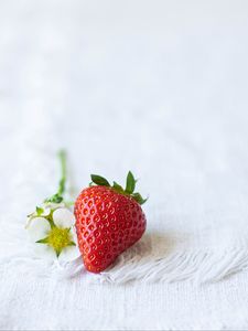 Preview wallpaper strawberries, berry, flowers, cloth