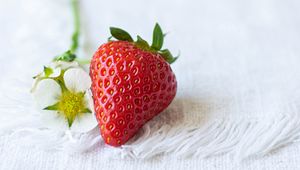 Preview wallpaper strawberries, berry, flowers, cloth