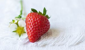 Preview wallpaper strawberries, berry, flowers, cloth