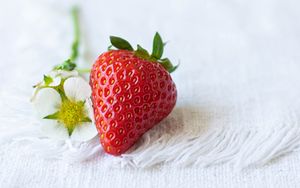 Preview wallpaper strawberries, berry, flowers, cloth