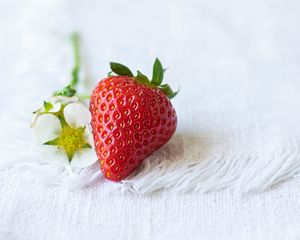 Preview wallpaper strawberries, berry, flowers, cloth