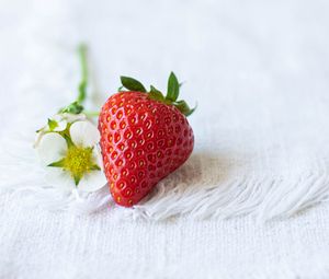 Preview wallpaper strawberries, berry, flowers, cloth