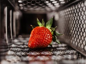 Preview wallpaper strawberries, berry, fruit