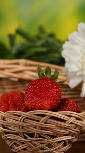 Preview wallpaper strawberries, flowers, basket, berries