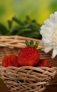 Preview wallpaper strawberries, flowers, basket, berries