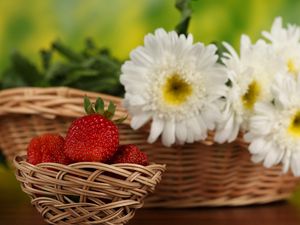 Preview wallpaper strawberries, flowers, basket, berries