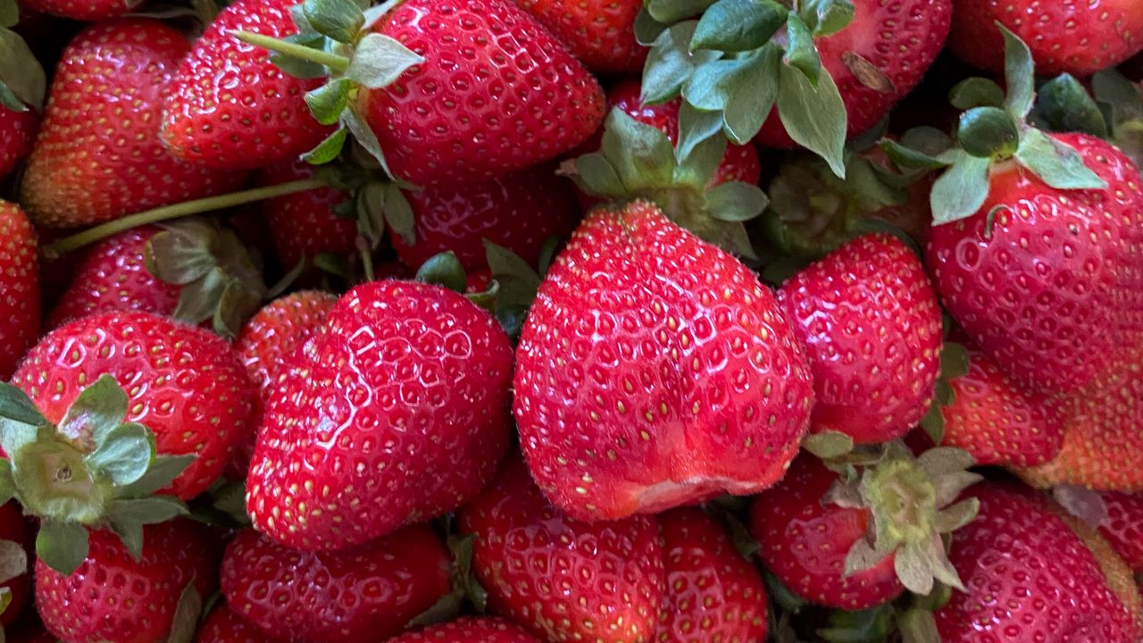 Wallpaper strawberries, fruits, berry