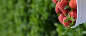 Preview wallpaper strawberries, leaves, berries, food