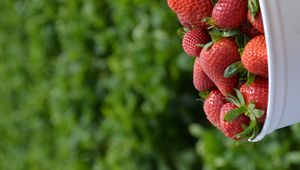Preview wallpaper strawberries, leaves, berries, food