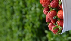 Preview wallpaper strawberries, leaves, berries, food