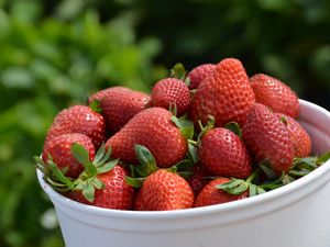 Preview wallpaper strawberries, leaves, berries, blur