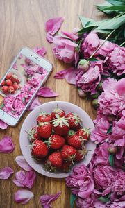 Preview wallpaper strawberries, peonies, flowers, phone