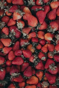 Preview wallpaper strawberries, red, ripe, berries, fresh