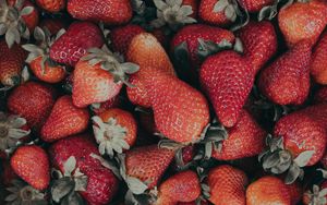 Preview wallpaper strawberries, red, ripe, berries, fresh