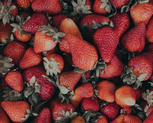 Preview wallpaper strawberries, red, ripe, berries, fresh