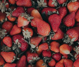 Preview wallpaper strawberries, red, ripe, berries, fresh