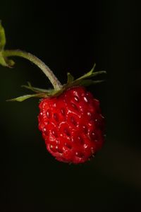 Preview wallpaper strawberries, strawberry, berry, ripe, red