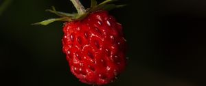 Preview wallpaper strawberries, strawberry, berry, ripe, red