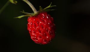 Preview wallpaper strawberries, strawberry, berry, ripe, red