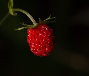 Preview wallpaper strawberries, strawberry, berry, ripe, red