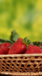 Preview wallpaper strawberry, basket, berries, flowers