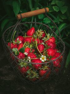Preview wallpaper strawberry, berries, basket, red, fresh, ripe