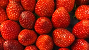 Preview wallpaper strawberry, berries, fruit, juicy, ripe, red