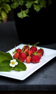 Preview wallpaper strawberry, berries, leaves, flower