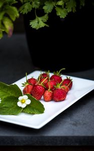 Preview wallpaper strawberry, berries, leaves, flower