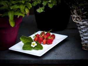 Preview wallpaper strawberry, berries, leaves, flower