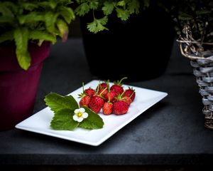 Preview wallpaper strawberry, berries, leaves, flower