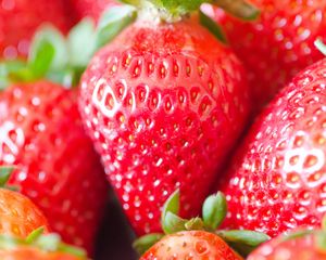 Preview wallpaper strawberry, berries, red, macro