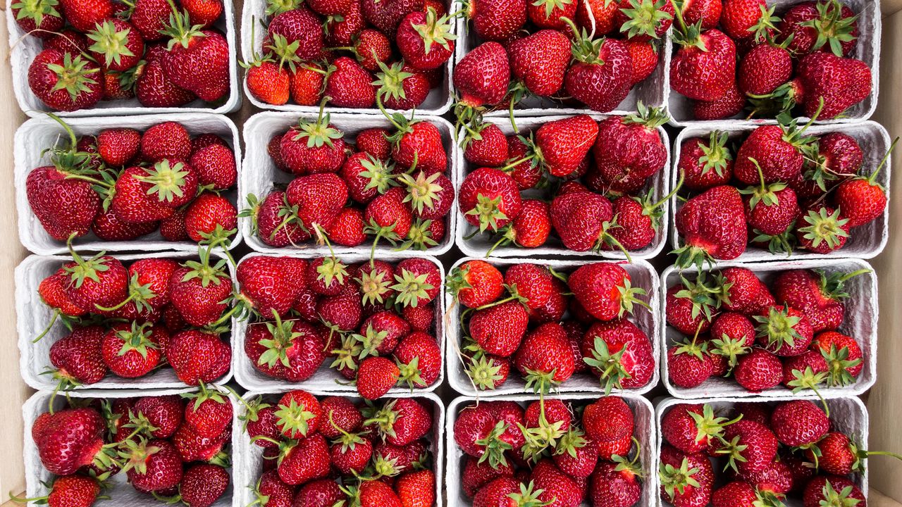Wallpaper strawberry, berries, ripe, harvest
